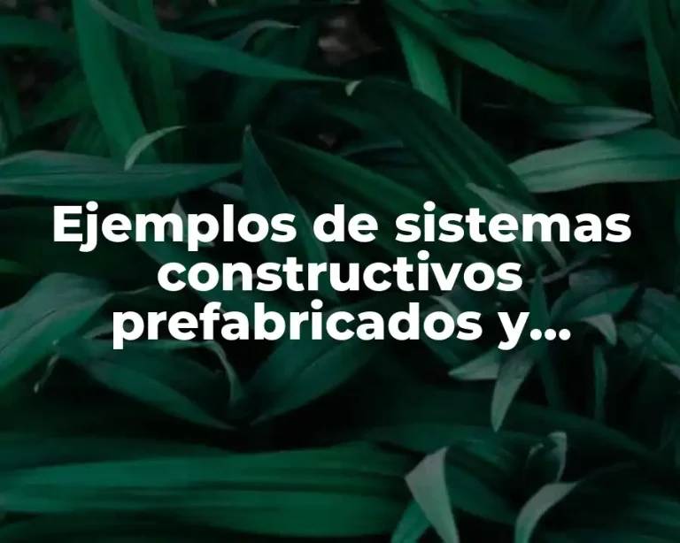 Ejemplos de sistemas constructivos prefabricados y Significado