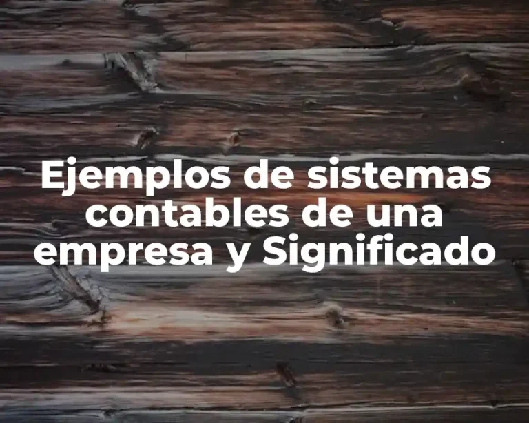 Ejemplos de sistemas contables de una empresa y Significado