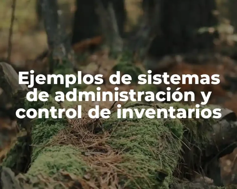 Ejemplos de sistemas de administración y control de inventarios