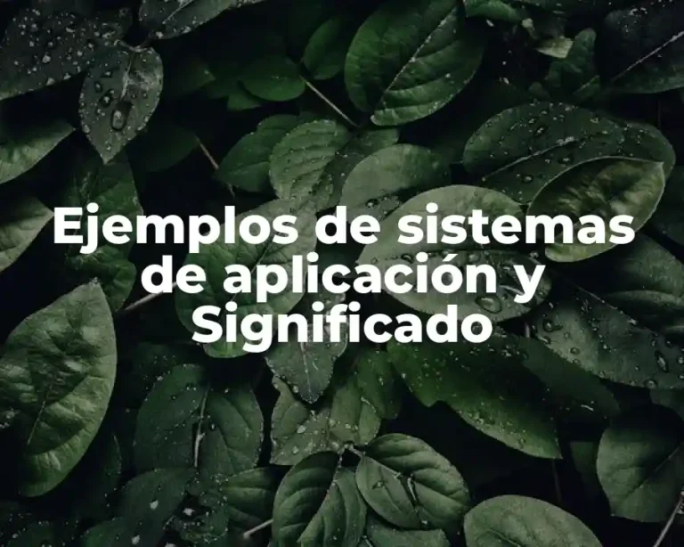 Ejemplos de sistemas de aplicación y Significado