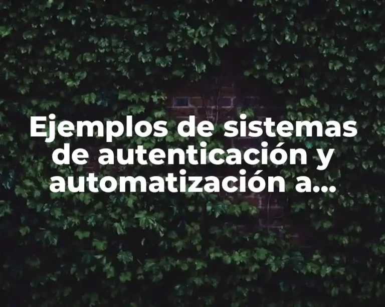 Ejemplos de sistemas de autenticación y automatización a control remoto