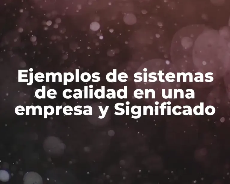 Ejemplos de sistemas de calidad en una empresa y Significado