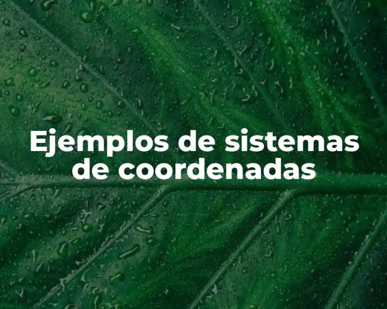 Ejemplos de sistemas de coordenadas