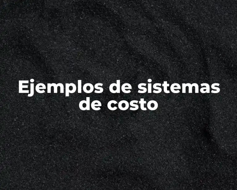 Ejemplos de sistemas de costo