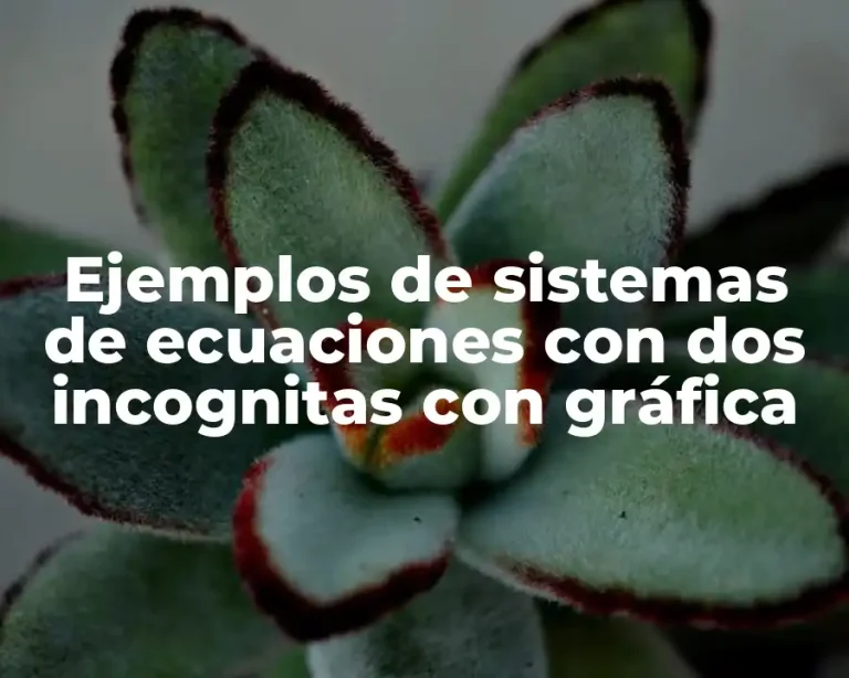 Ejemplos de sistemas de ecuaciones con dos incognitas con gráfica