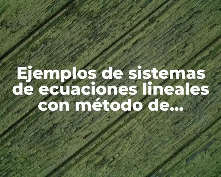 Ejemplos de sistemas de ecuaciones lineales con método de igualación y Significado