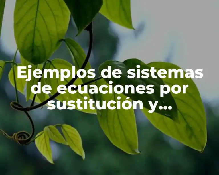 Ejemplos de sistemas de ecuaciones por sustitución y Significado