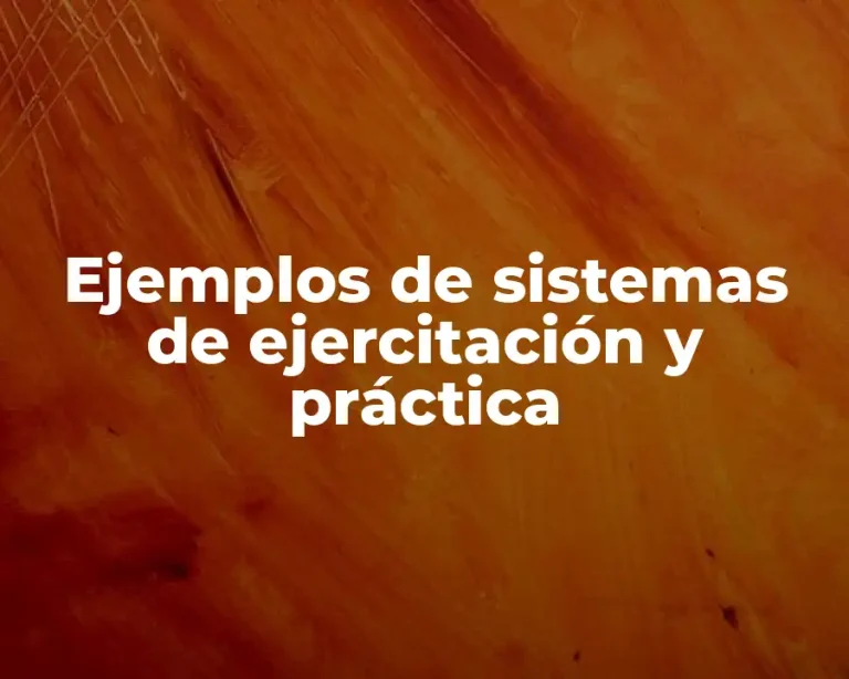 Ejemplos de sistemas de ejercitación y práctica
