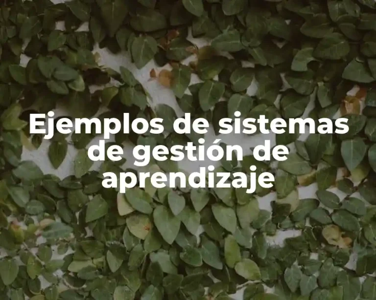 Ejemplos de sistemas de gestión de aprendizaje