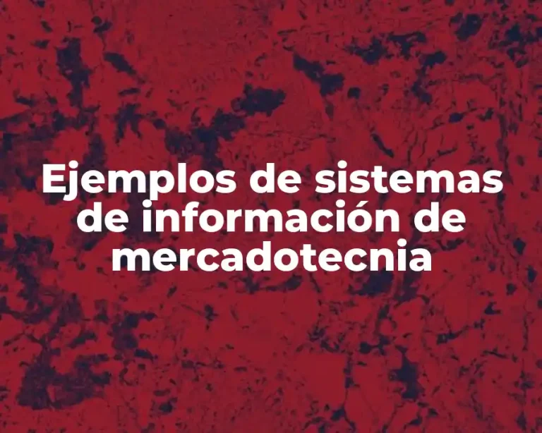 Ejemplos de sistemas de información de mercadotecnia