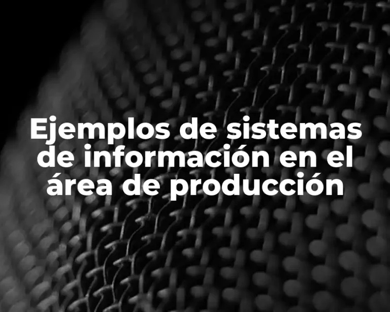Ejemplos de sistemas de información en el área de producción