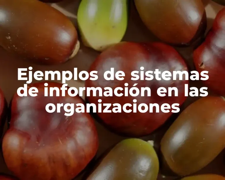 Ejemplos de sistemas de información en las organizaciones