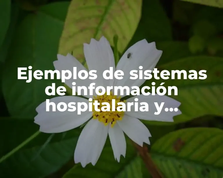 Ejemplos de sistemas de información hospitalaria y Significado