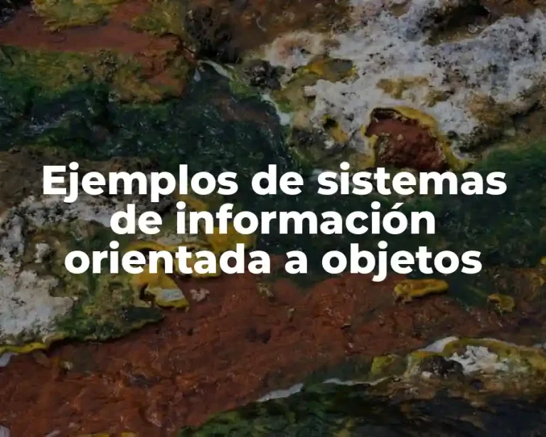Ejemplos de sistemas de información orientada a objetos