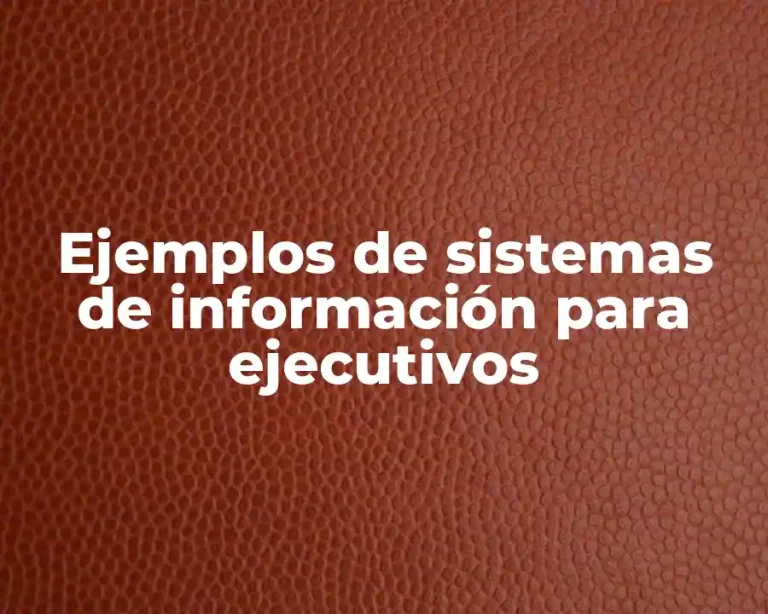 Ejemplos de sistemas de información para ejecutivos