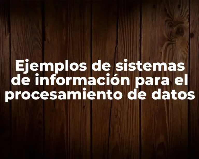 Ejemplos de sistemas de información para el procesamiento de datos