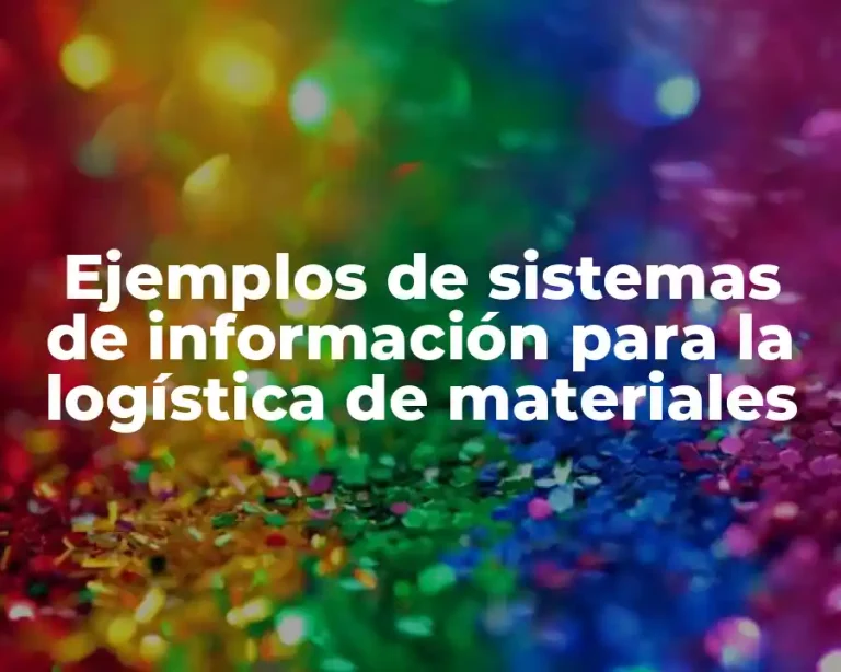 Ejemplos de sistemas de información para la logística de materiales