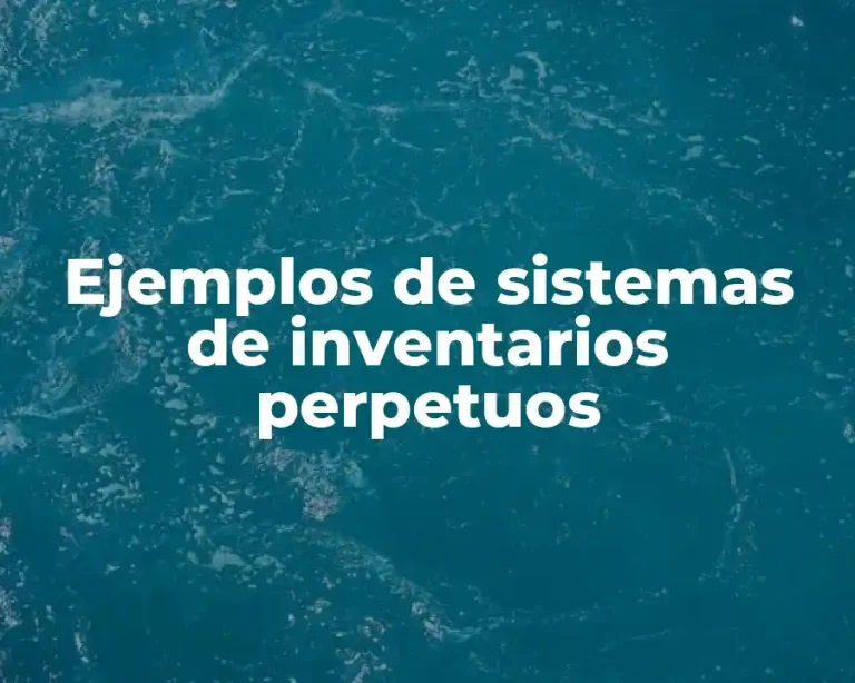 Ejemplos de sistemas de inventarios perpetuos