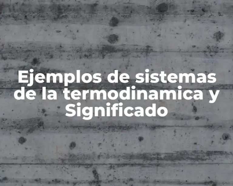 Ejemplos de sistemas de la termodinamica y Significado