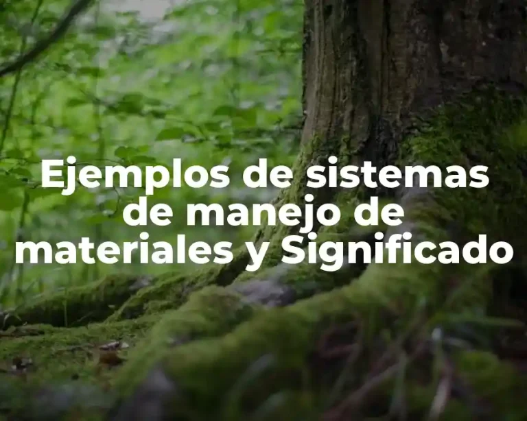 Ejemplos de sistemas de manejo de materiales y Significado
