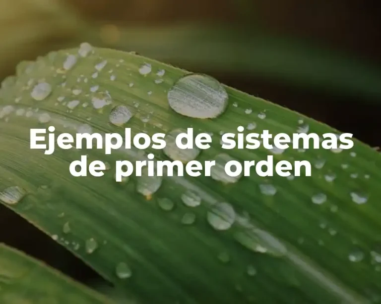 Ejemplos de sistemas de primer orden