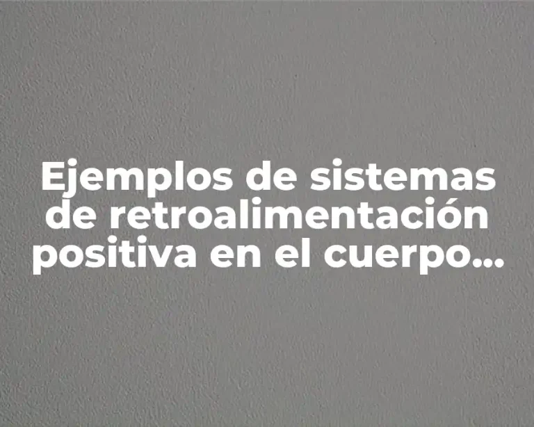 Ejemplos de sistemas de retroalimentación positiva en el cuerpo humano
