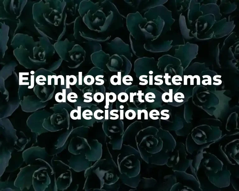 Ejemplos de sistemas de soporte de decisiones