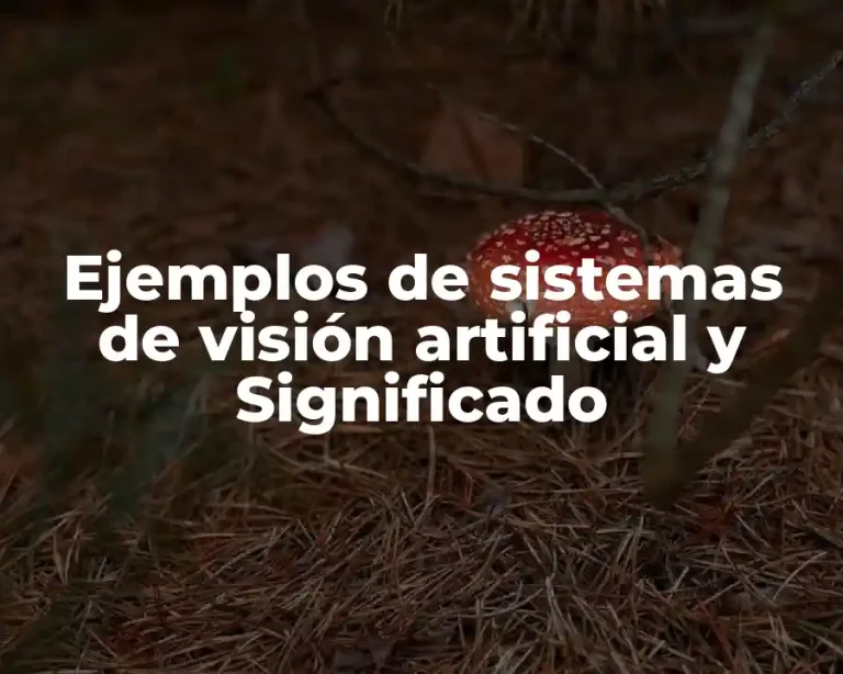 Ejemplos de sistemas de visión artificial y Significado