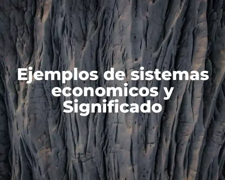 Ejemplos de sistemas economicos y Significado
