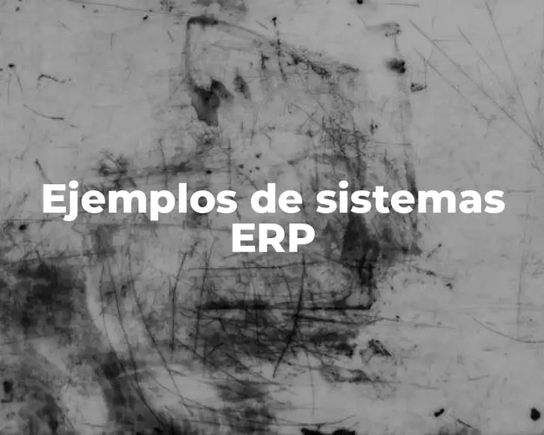 Ejemplos de sistemas ERP