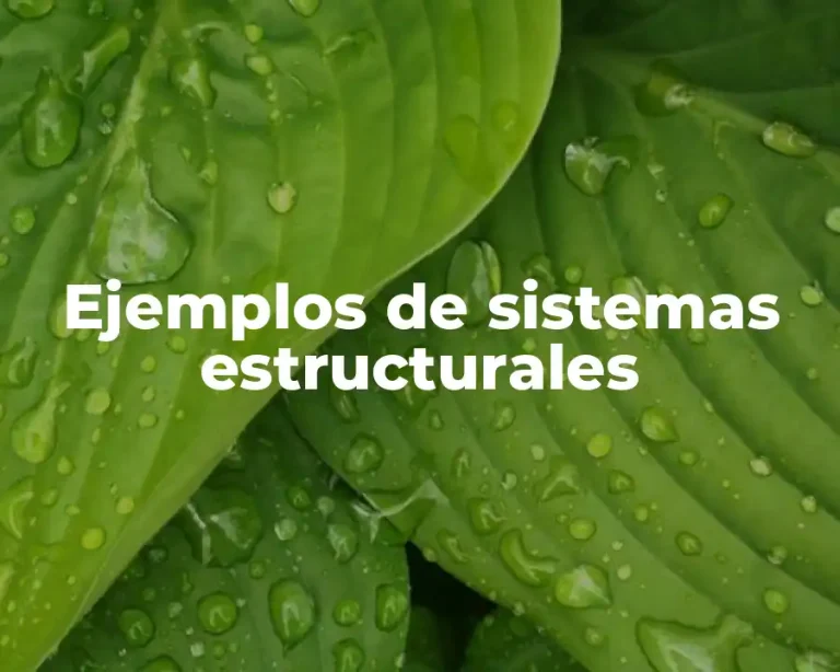 Ejemplos de sistemas estructurales