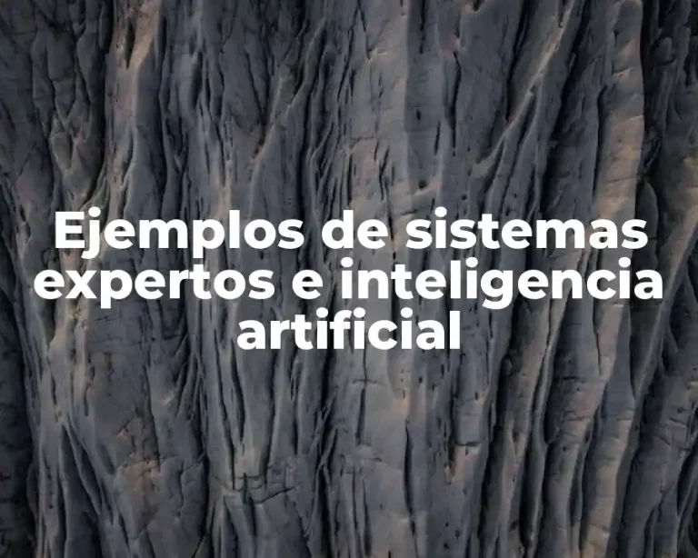 Ejemplos de sistemas expertos e inteligencia artificial