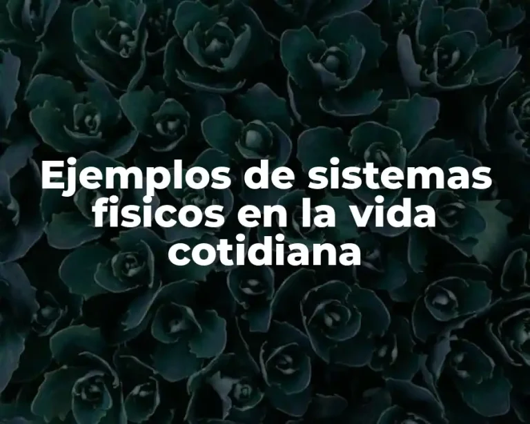 Ejemplos de sistemas fisicos en la vida cotidiana
