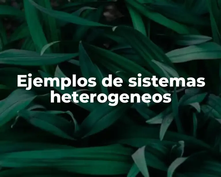 Ejemplos de sistemas heterogeneos
