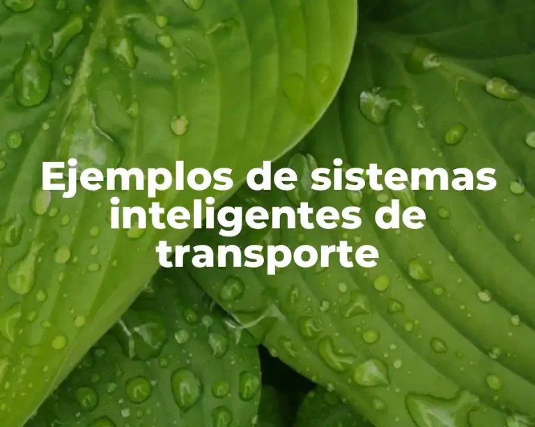 Ejemplos de sistemas inteligentes de transporte