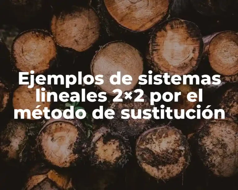 Ejemplos de sistemas lineales 2×2 por el método de sustitución