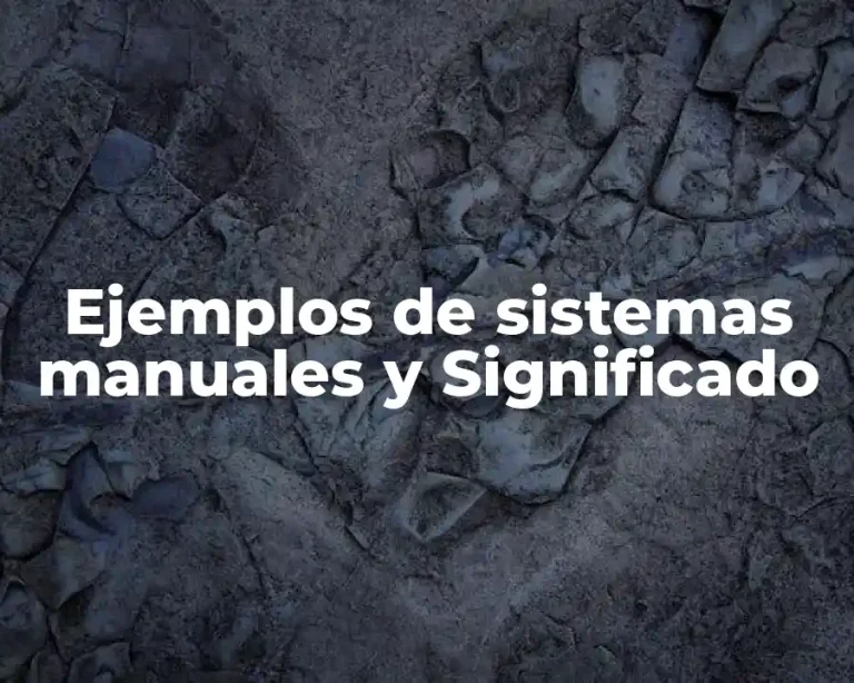 Ejemplos de sistemas manuales y Significado