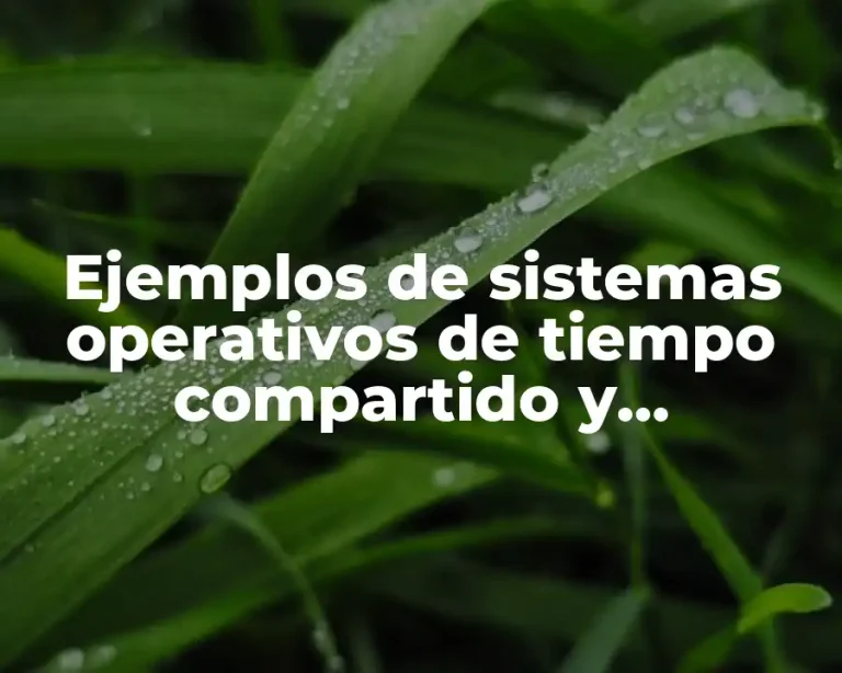 Ejemplos de sistemas operativos de tiempo compartido y Significado