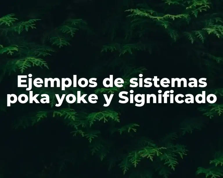 Ejemplos de sistemas poka yoke y Significado