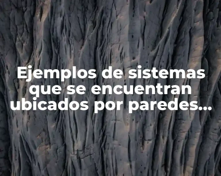 Ejemplos de sistemas que se encuentran ubicados por paredes adiabáticas