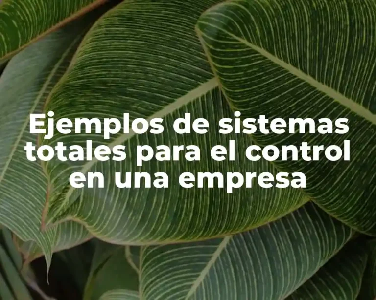 Ejemplos de sistemas totales para el control en una empresa