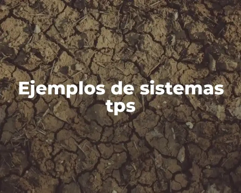 Ejemplos de sistemas tps