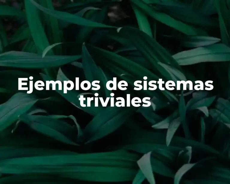 Ejemplos de sistemas triviales