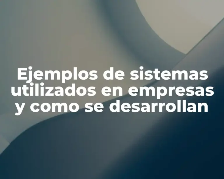 Ejemplos de sistemas utilizados en empresas y como se desarrollan