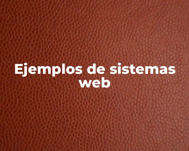 Ejemplos de sistemas web