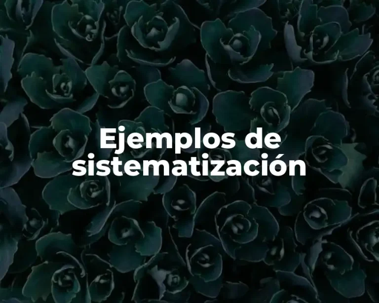 Ejemplos de sistematización