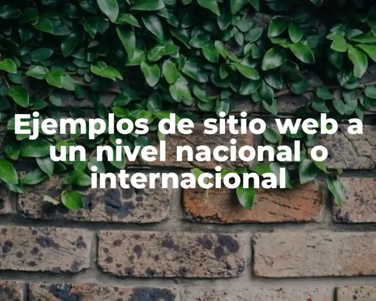 Ejemplos de sitio web a un nivel nacional o internacional