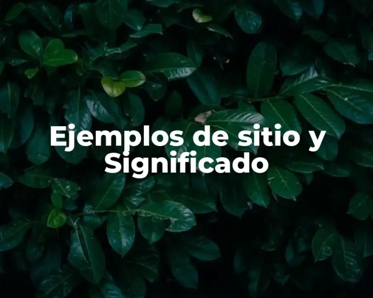 Ejemplos de sitio y Significado