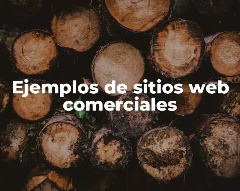 Ejemplos de sitios web comerciales