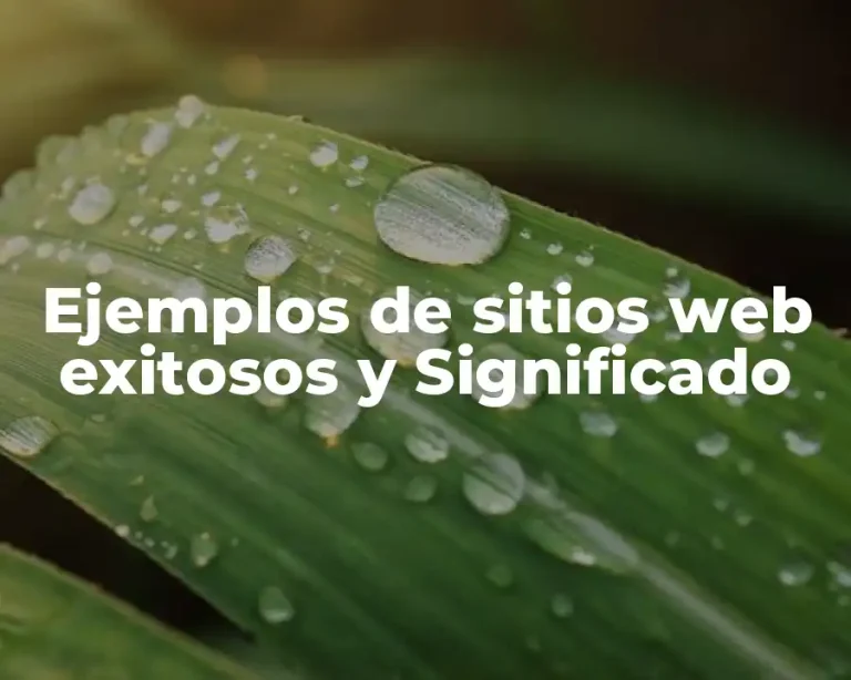 Ejemplos de sitios web exitosos y Significado